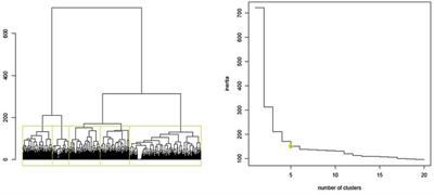 Distinct care trajectories among persons living with arthritic conditions: A two-year state sequence analysis